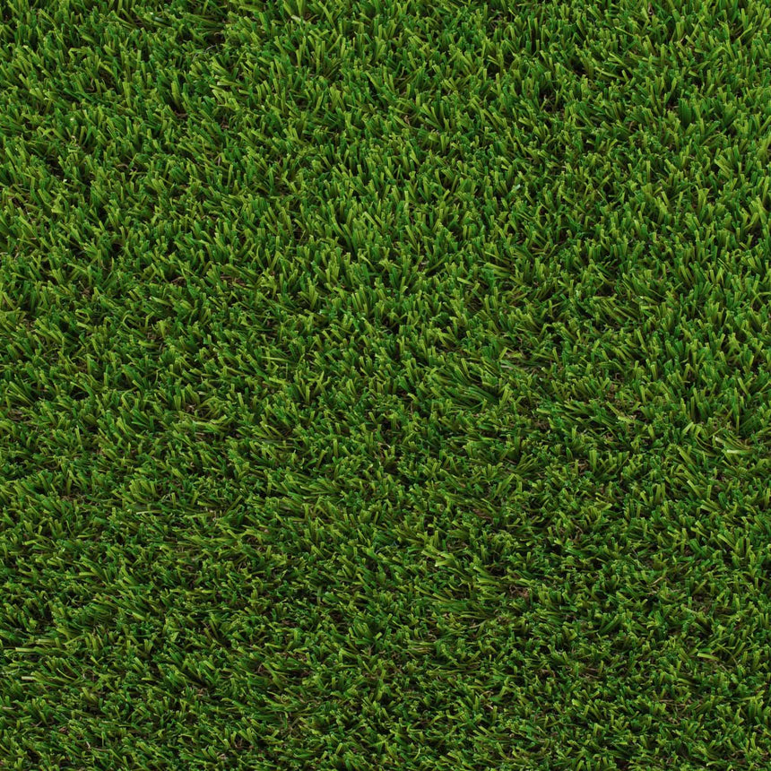 Camomile 32mm Artificial Grass - Sample