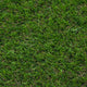 Campion 30mm Artificial Grass 5m