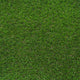 Campion 30mm Artificial Grass 5m