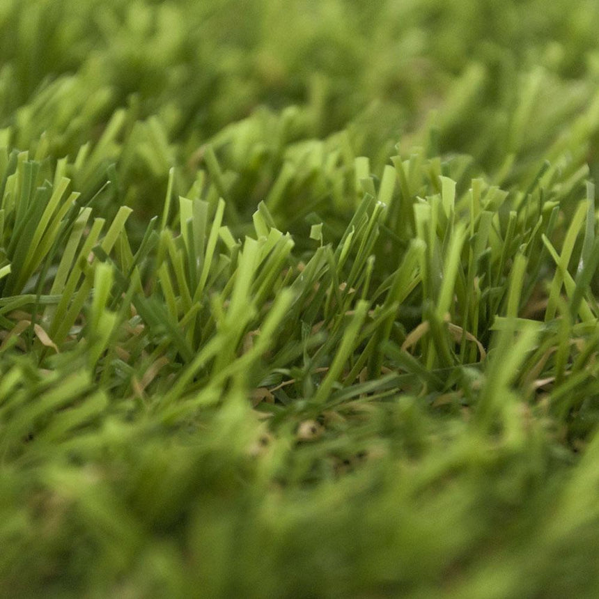 Cargo Artificial Grass