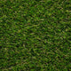 Lassen 30 Artificial Grass