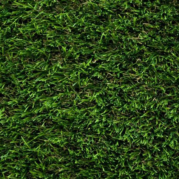 Daisy 40mm Artificial Grass 5m