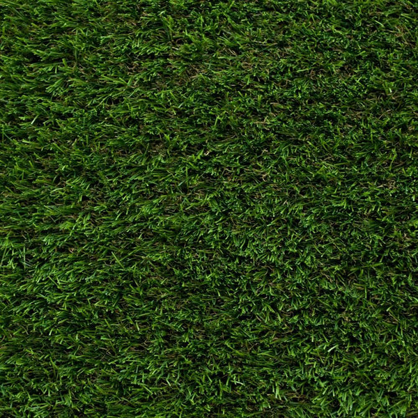 Daisy 40mm Artificial Grass 5m