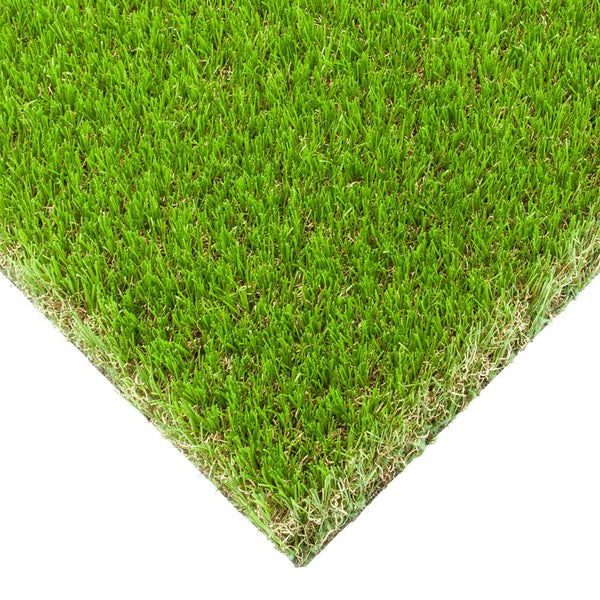 Elderberry 42mm Artificial Grass