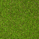 Elderberry 42mm Artificial Grass