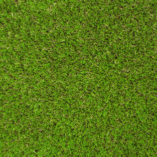 Elderberry 42mm Artificial Grass