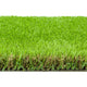 Elderberry 42mm Artificial Grass