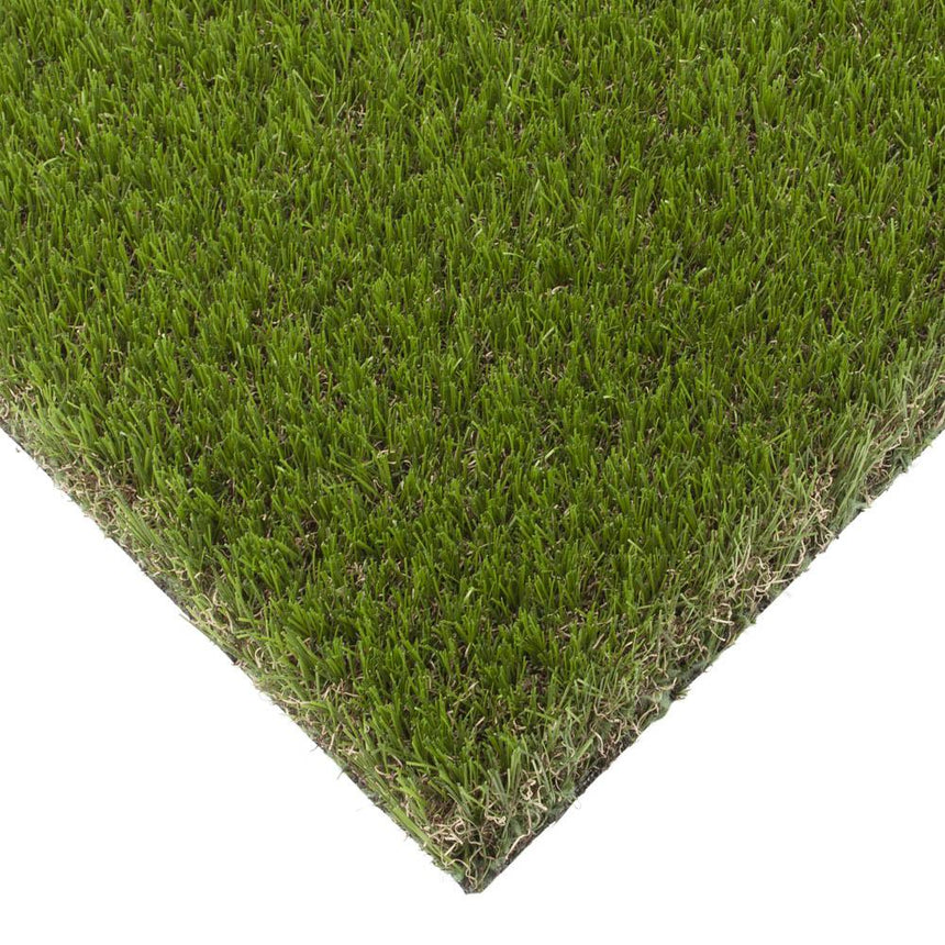 Elderberry 42mm Artificial Grass - Sample