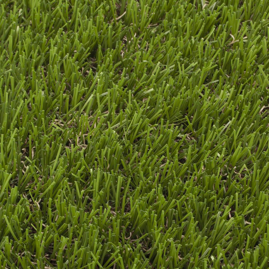 Elderberry 42mm Artificial Grass - Sample