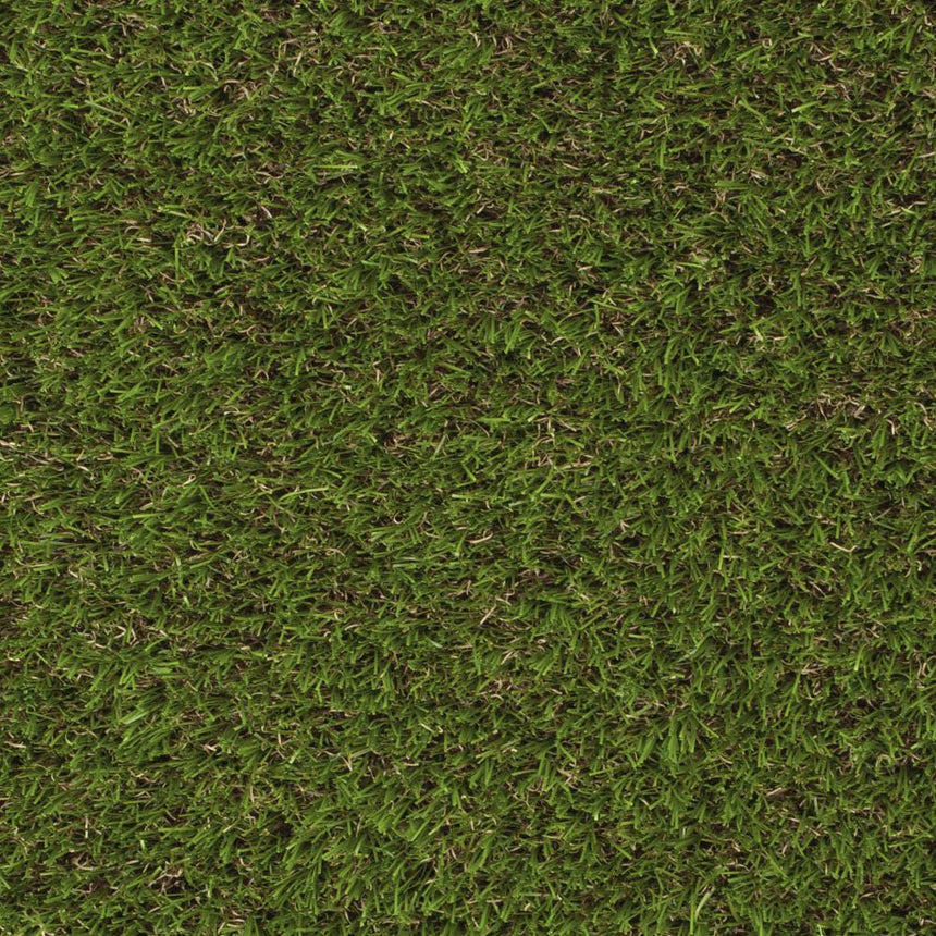 Elderberry 42mm Artificial Grass - Sample