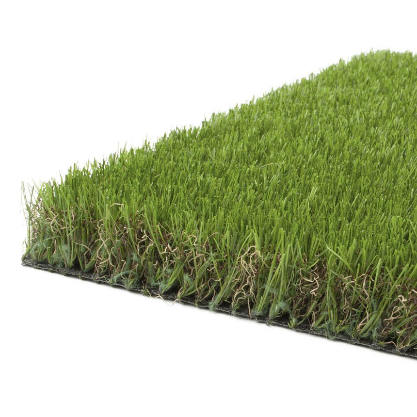 Elderberry 42mm Artificial Grass - Sample