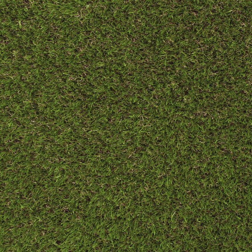Elderberry 42mm Artificial Grass - Sample