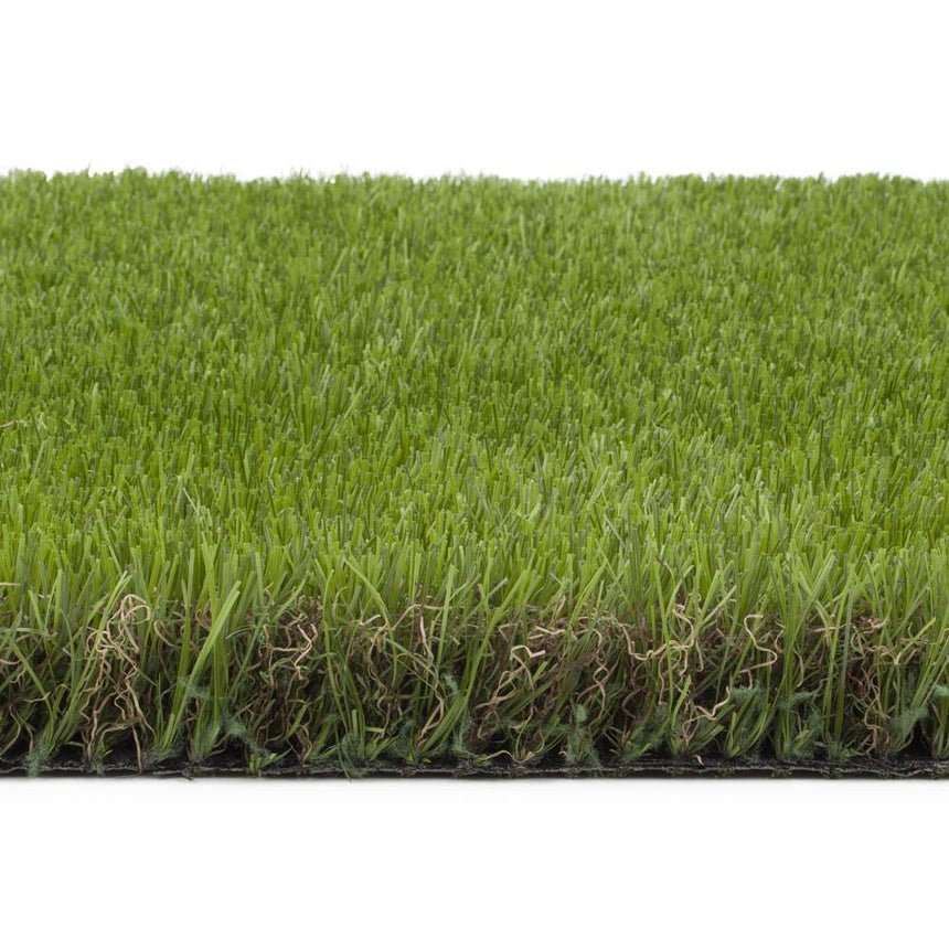 Elderberry 42mm Artificial Grass - Sample