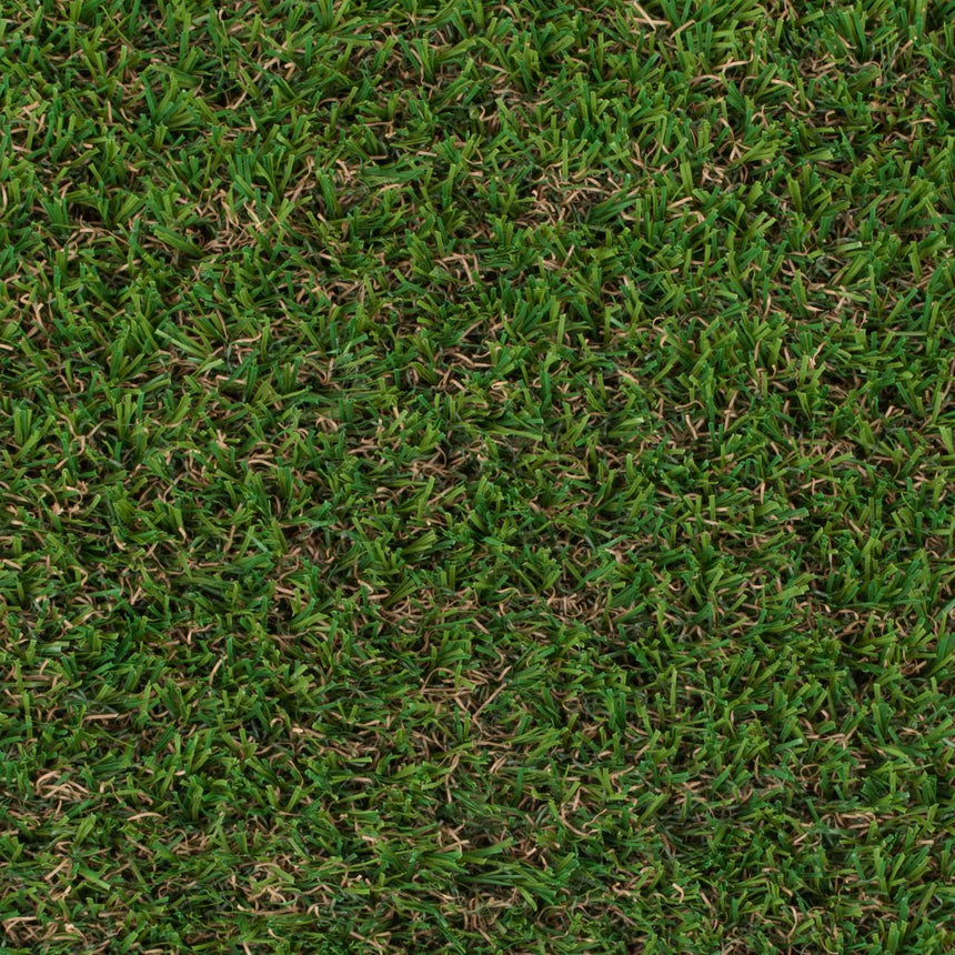 Buttercup 27 Artificial Grass