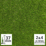 Lily 37mm Artificial Grass