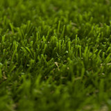 Hampton Artificial Grass 