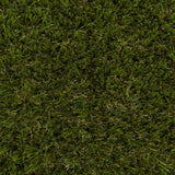 Holly 42mm Artificial Grass - Sample