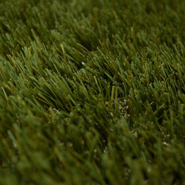 Holly 42mm Artificial Grass 5m