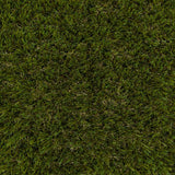 Holly 42mm Artificial Grass - Sample