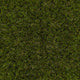 Holly 42mm Artificial Grass 5m