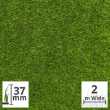 Lily 37mm Artificial Grass