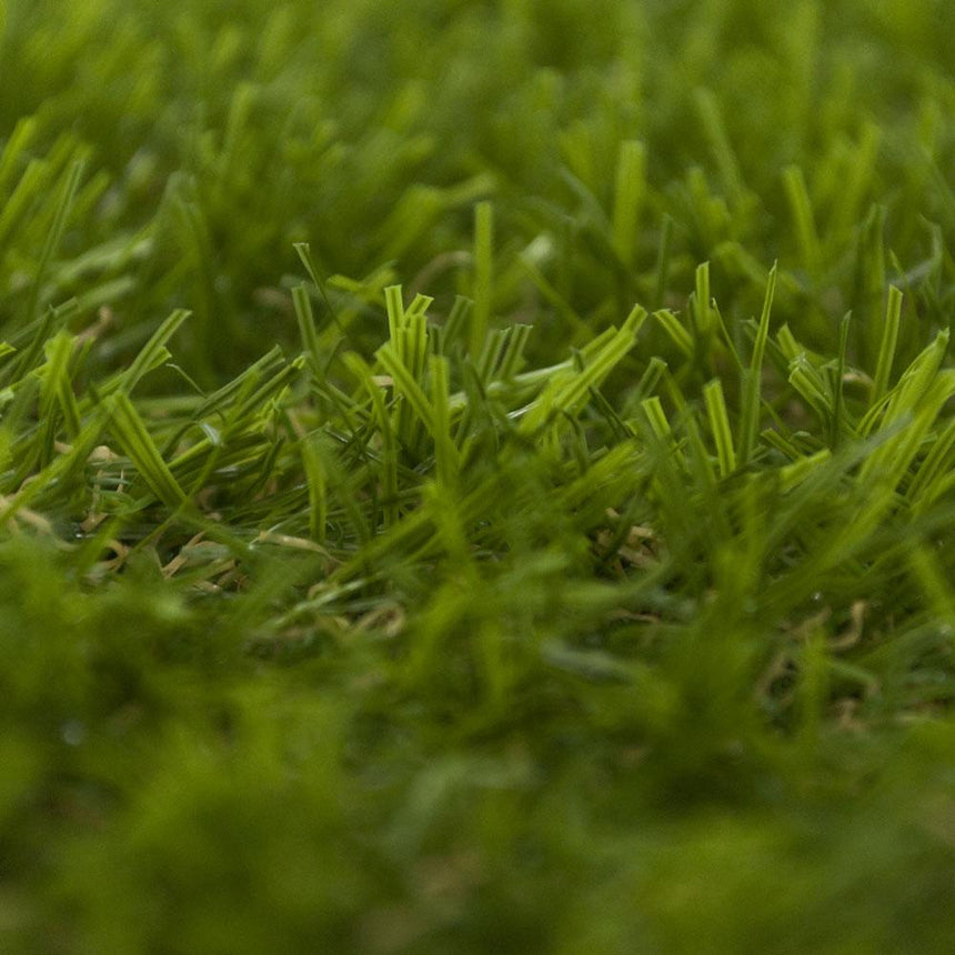 Masonic Artificial Grass