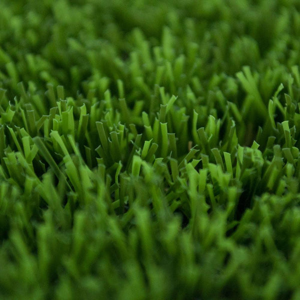 Clover 38 Artificial Grass