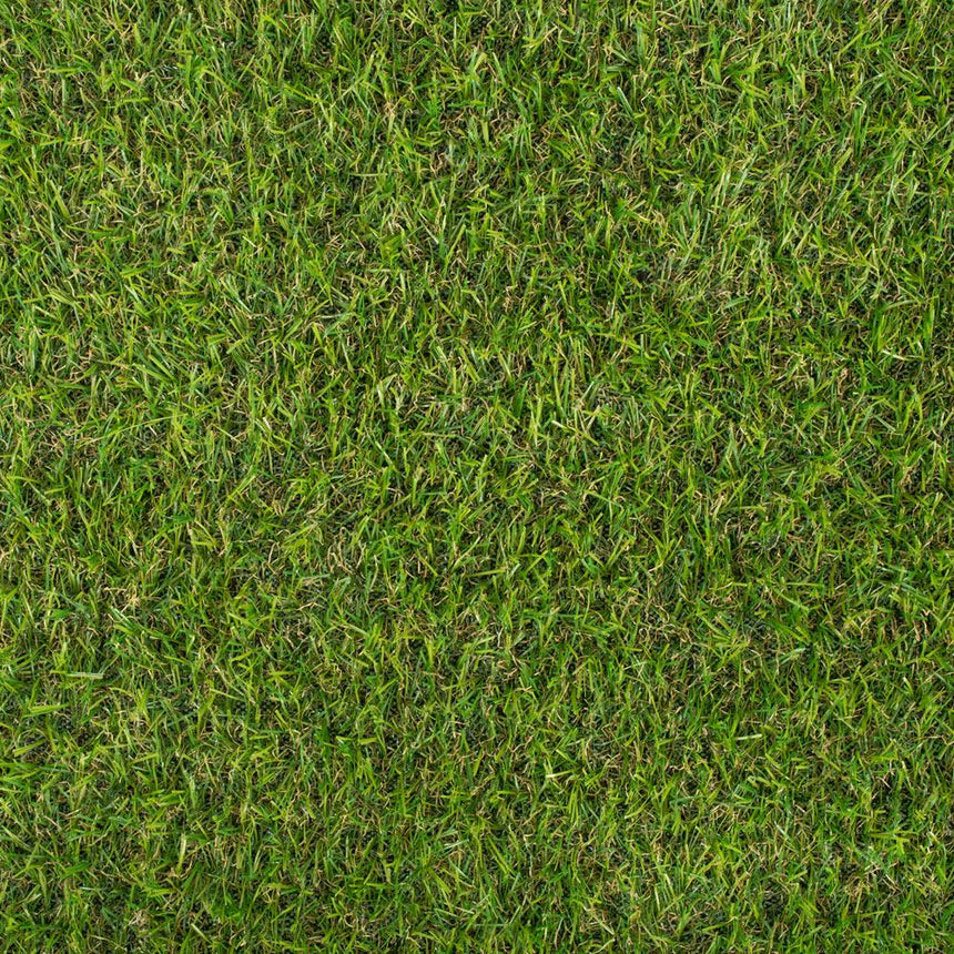 Parkdale 20mm Artificial Grass mid