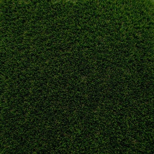 Poppy 42 Artificial Grass