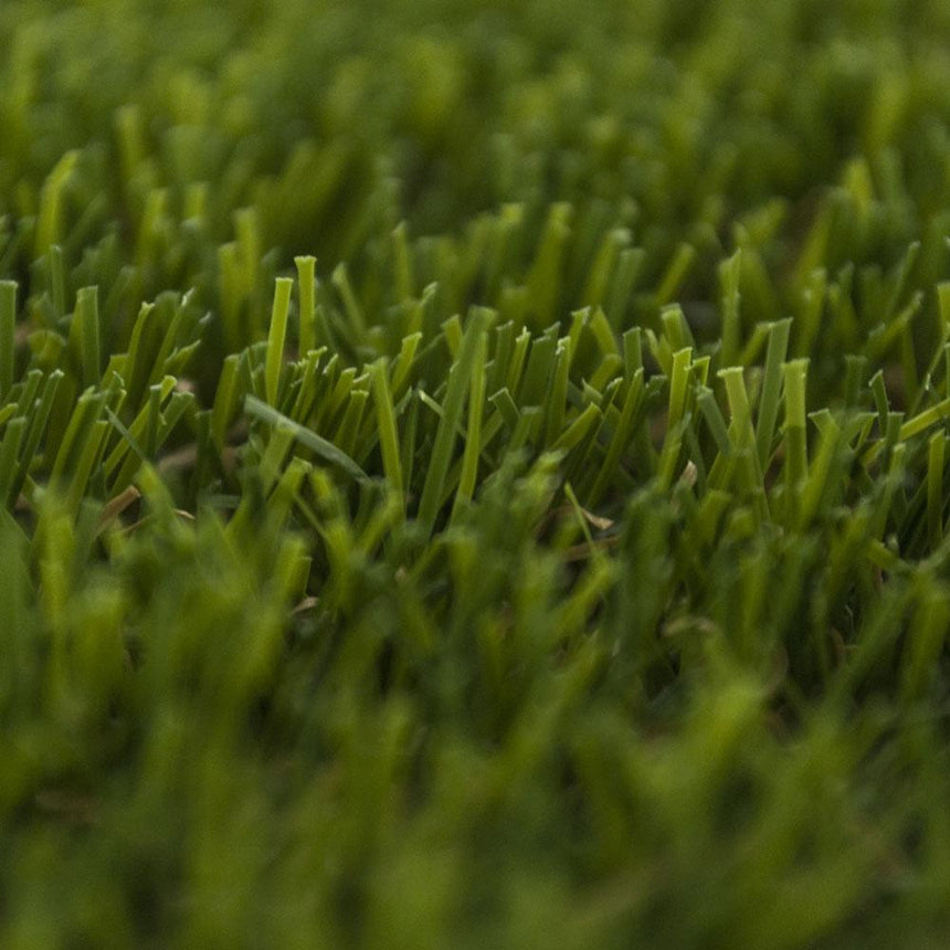 Prize 35 Artificial Grass
