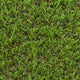 Pine Forest 30mm Artificial Grass