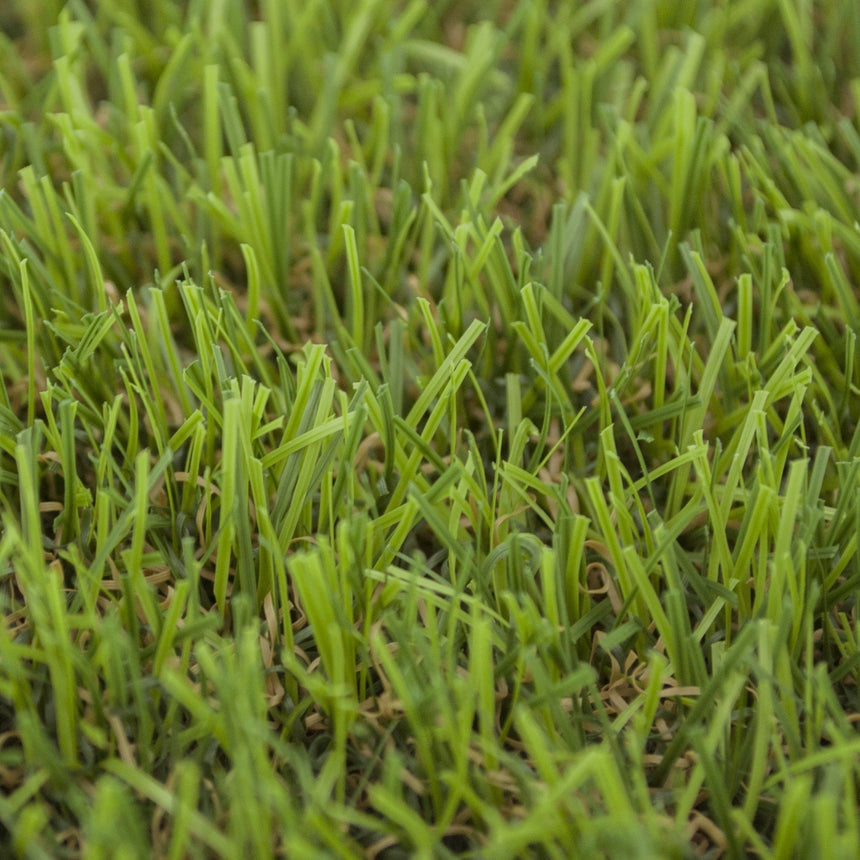 Pine Forest 30mm Artificial Grass