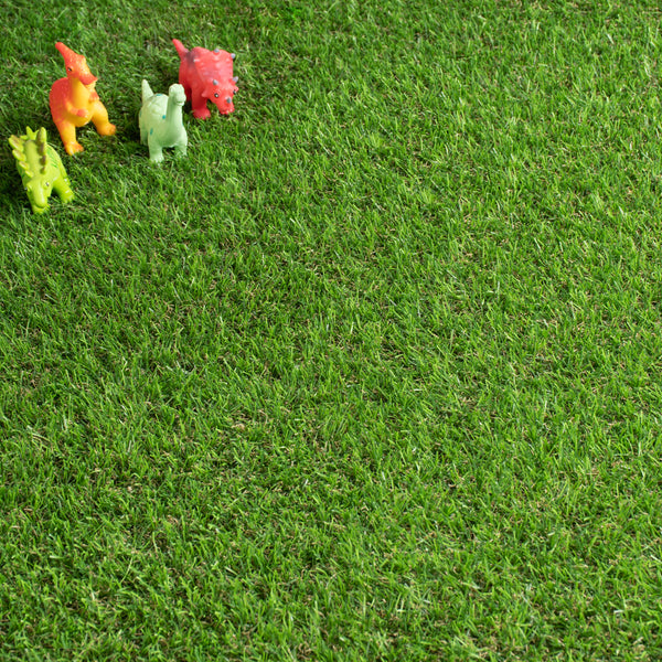 Pine Forest 30mm Artificial Grass