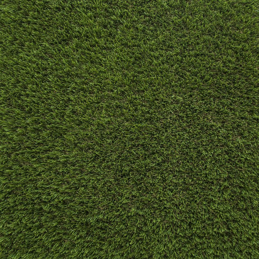 Prize 50 Artificial Grass