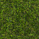 Rotherfield 17mm Artificial Grass close