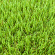 Summerhill 30mm Artificial Grass