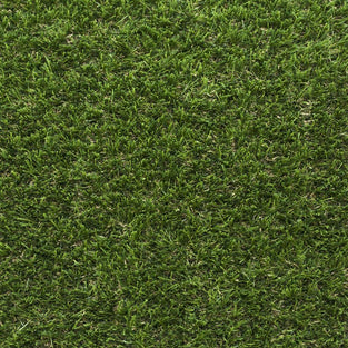 Stallion 38 Artificial Grass