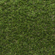 Stallion 38 Artificial Grass